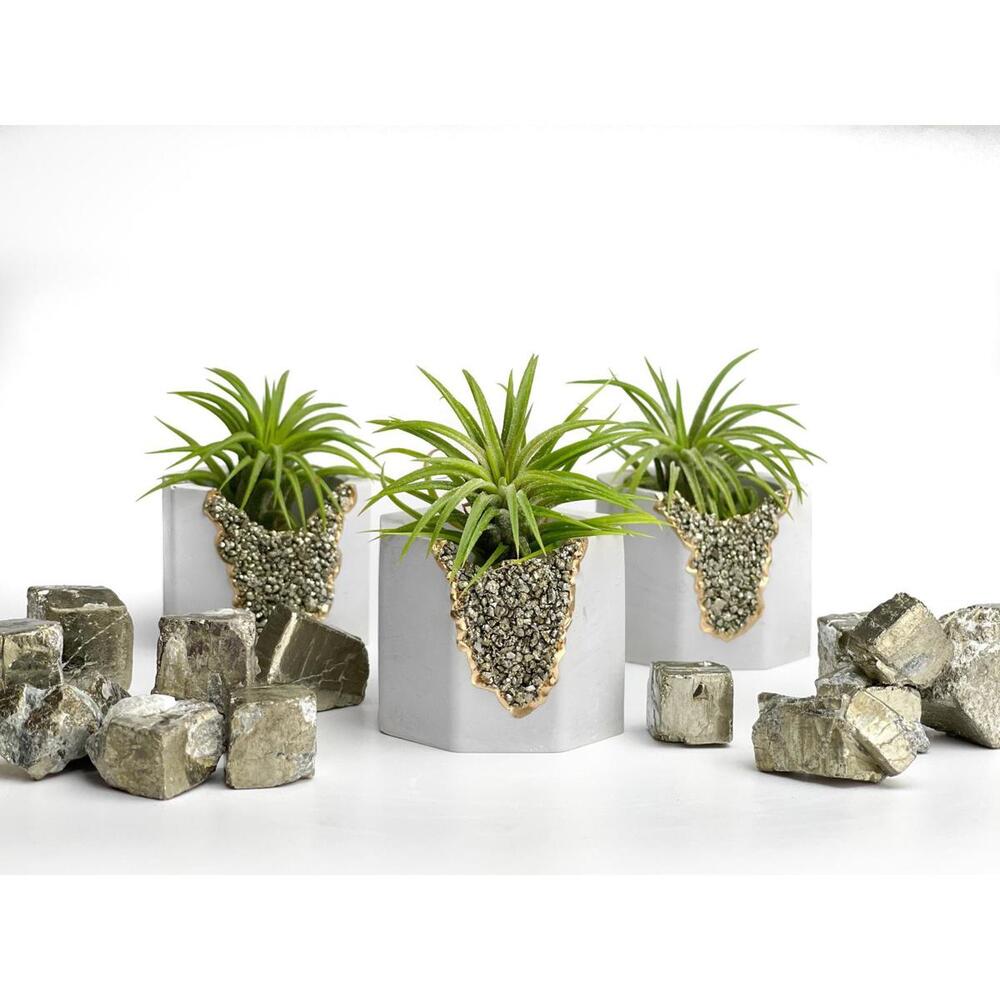 Succulent Pyrite Crystal Planter Geode Air Plant Gemstone